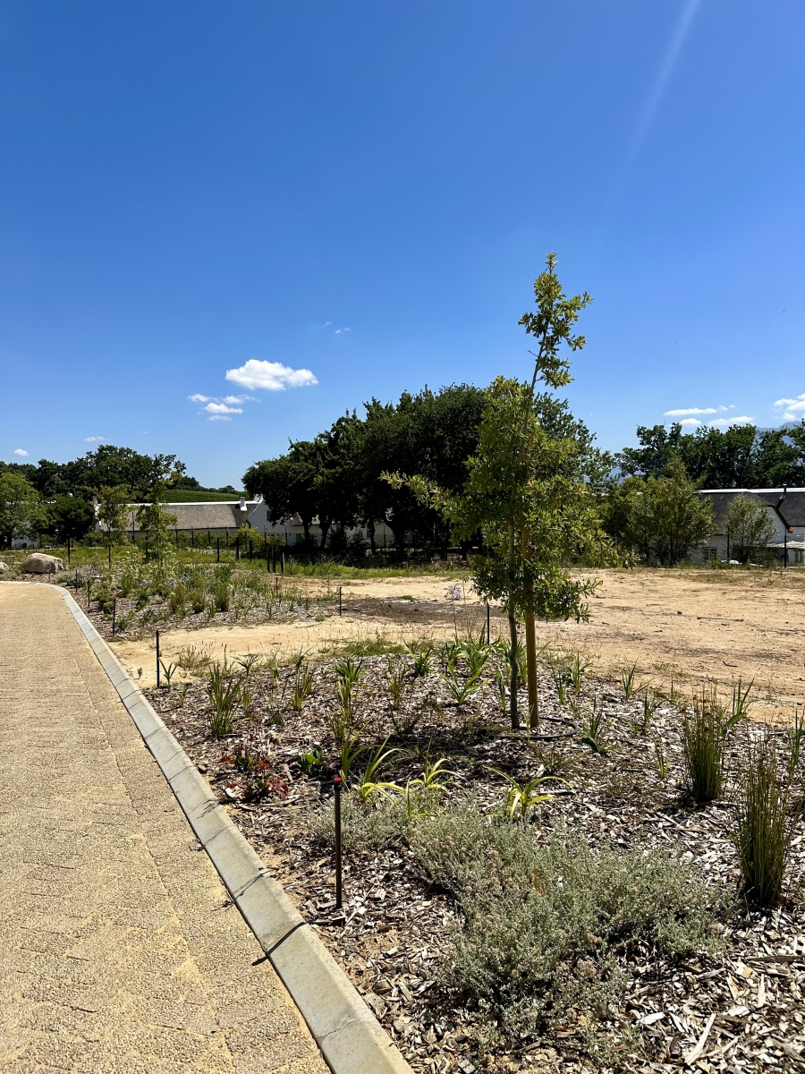0 Bedroom Property for Sale in Courtrai Western Cape